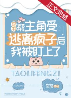 After helping the protagonist escape from the lunatic, I was targeted [Through the Book]