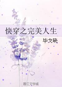 Fast Transmigration: Perfect Life