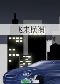 Flying disaster