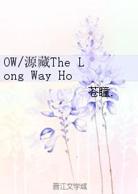 Genzo The Long Way Home