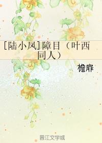 [Lu Xiaofeng] Blindness