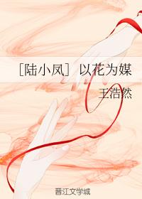 [Lu Xiaofeng] Using flowers as a match