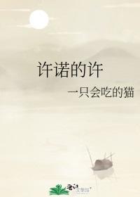 promise of promise