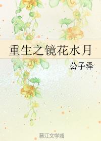 Rebirth of the mirror flower water moon