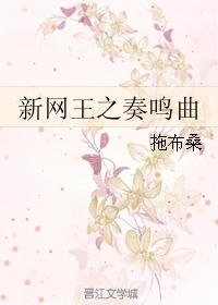 Sonata of Xin Wang Wang