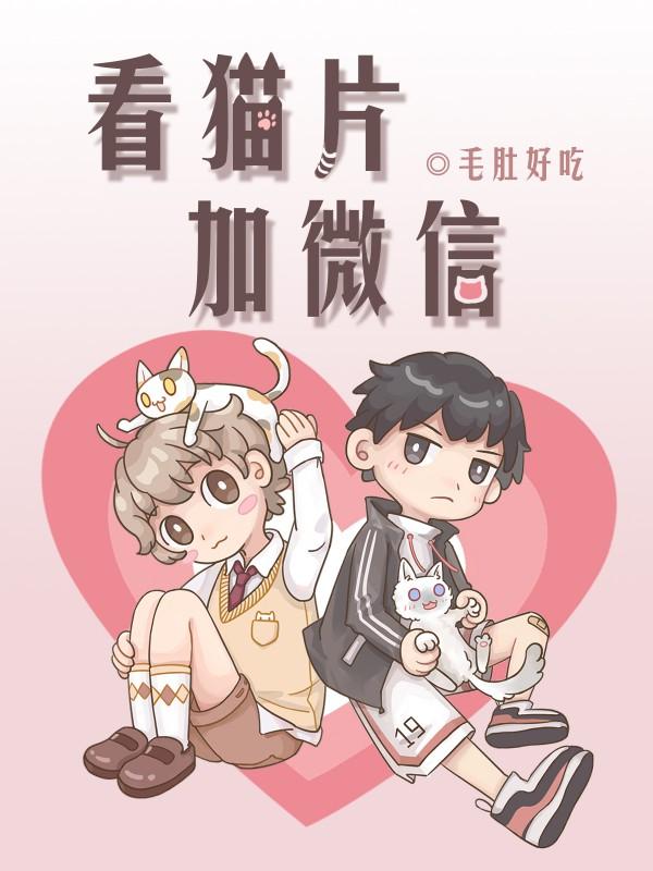 Watch cat movies and add WeChat