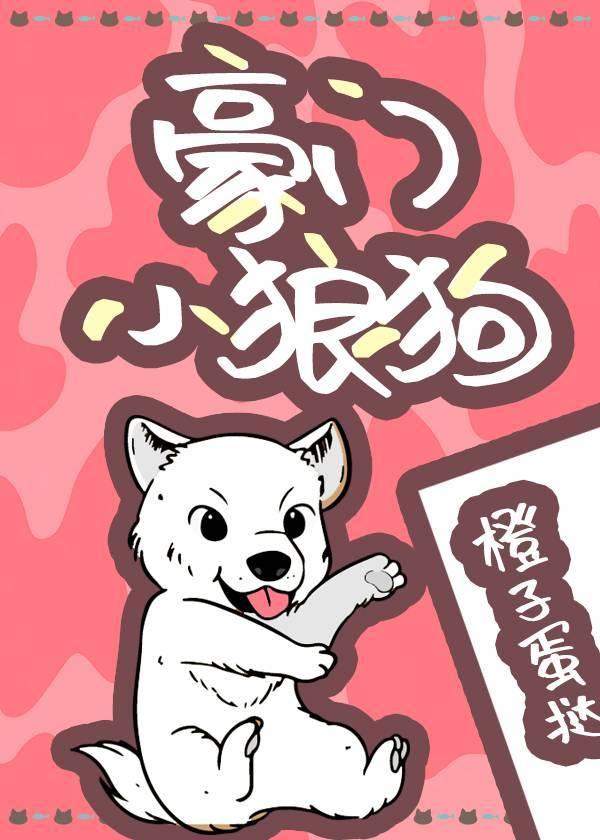 Wealthy wolf dog