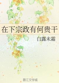 What is the next Zongzheng doing?
