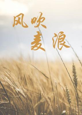 Wind Shakes the Barley