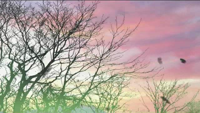 [Xian San Chong Fei] Beacon Fire Fate